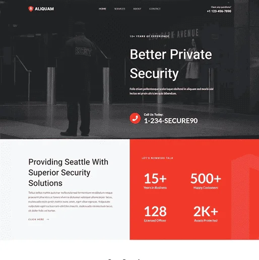 Security website design demo sample